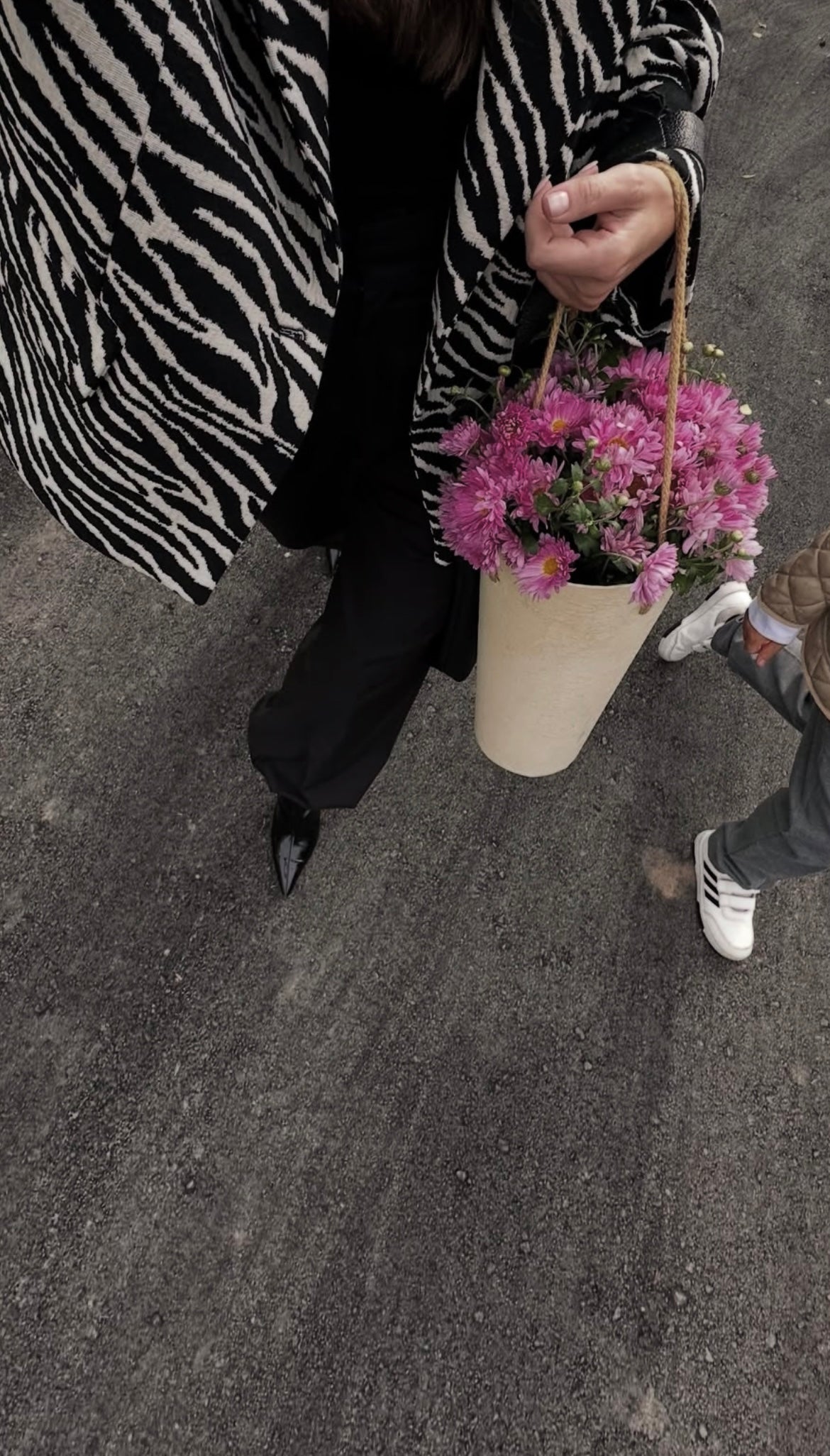 Noëlle Zebra Jacket