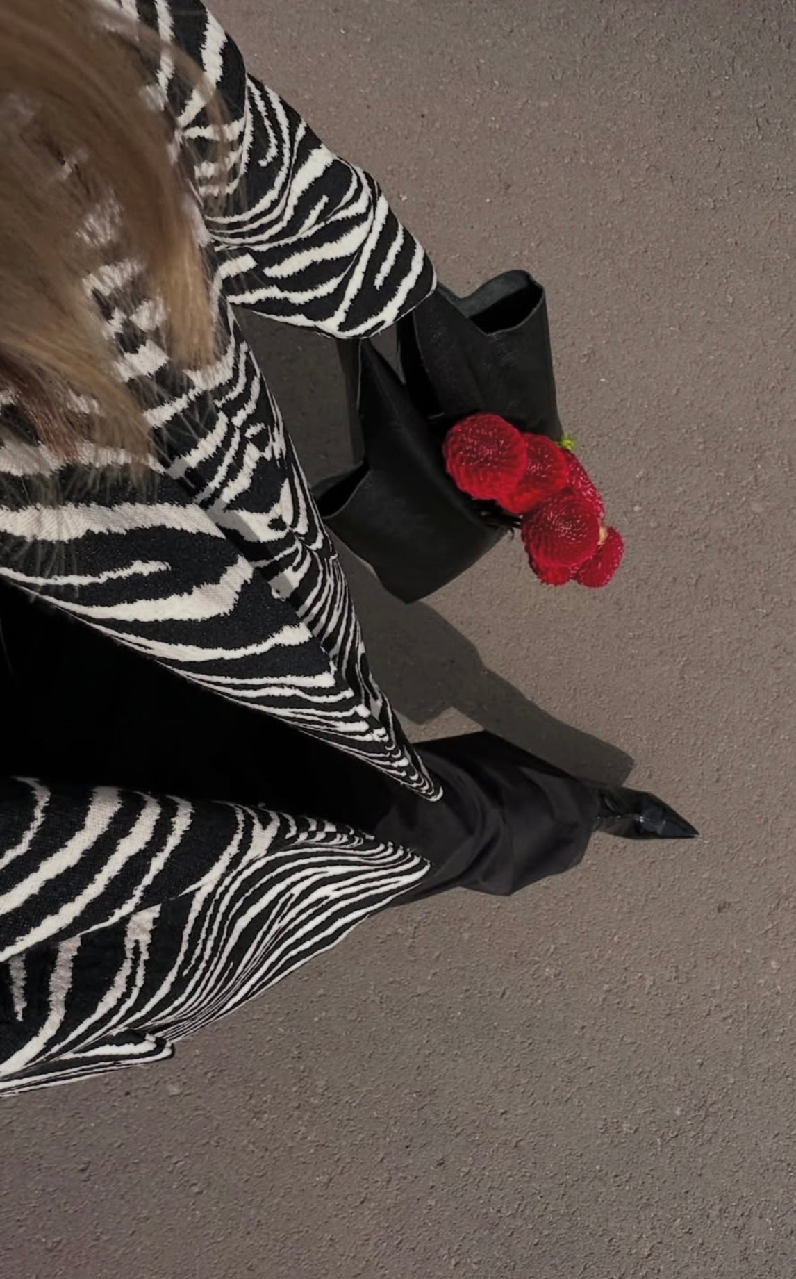 Noëlle Zebra Jacket